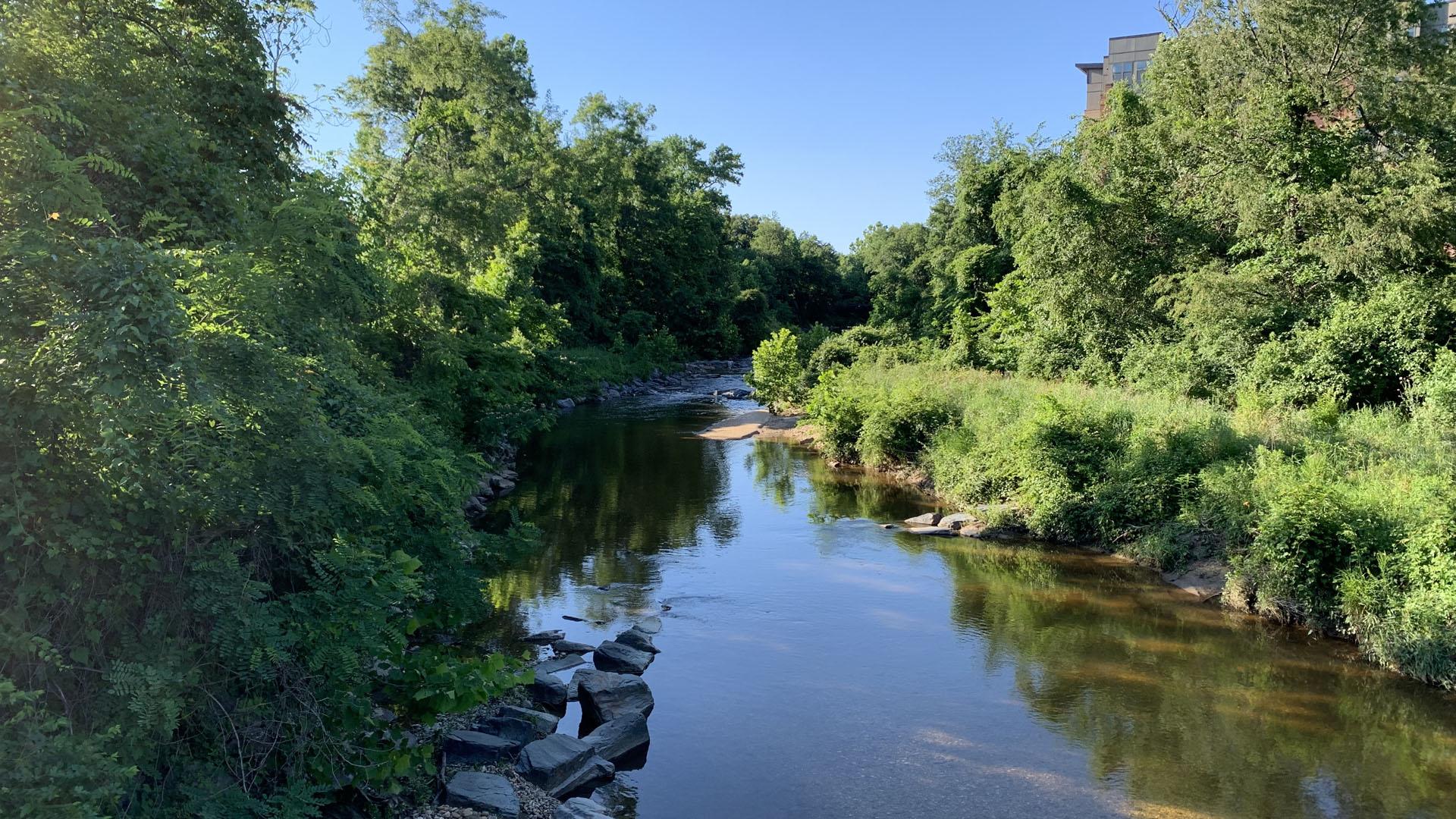 Campus creek